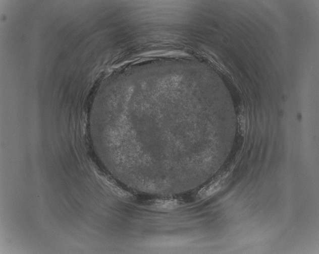 X0000072550458200607281653