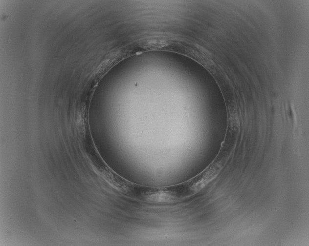 X0000072550460200607281653