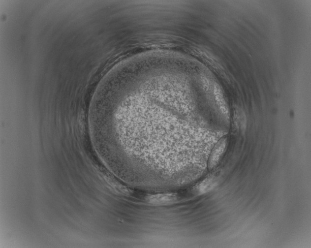 X0000072550461200607281653