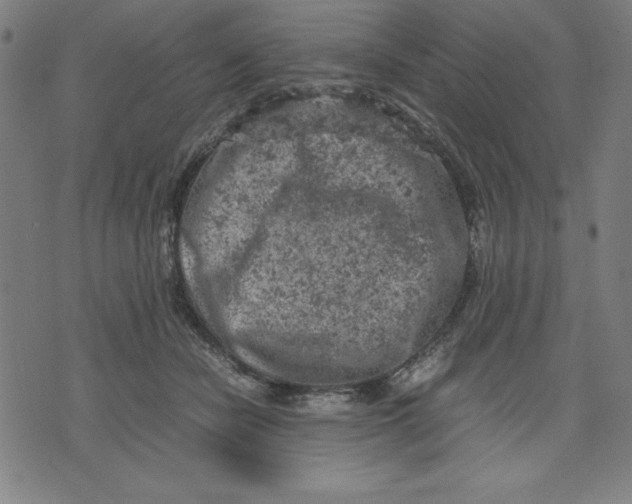 X0000072550462200607281653