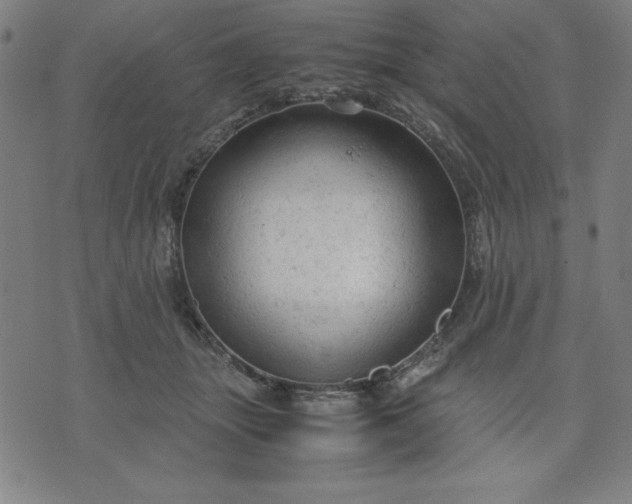 X0000072550463200607281653