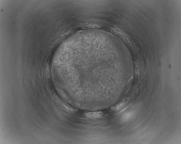 X0000072550465200607281653