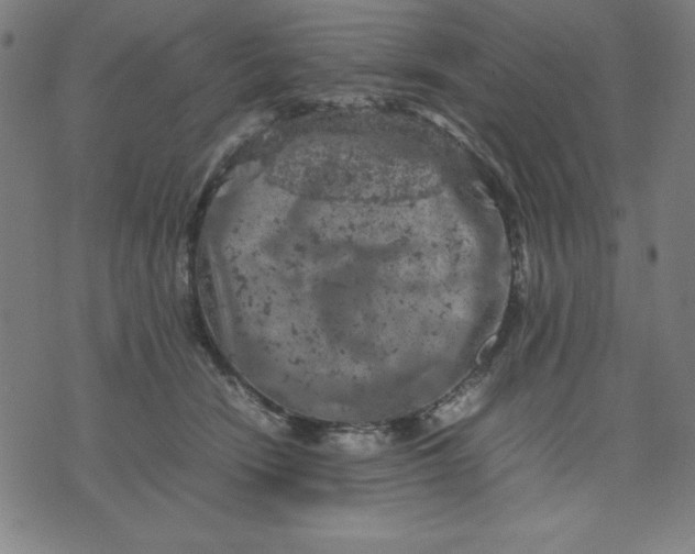 X0000072550466200607281653