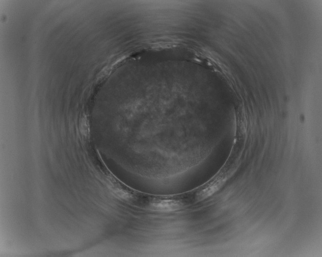 X0000072550467200607281653