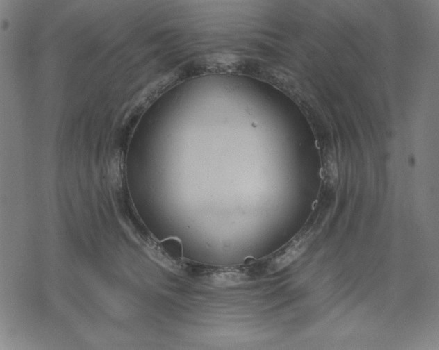 X0000072550468200607281653