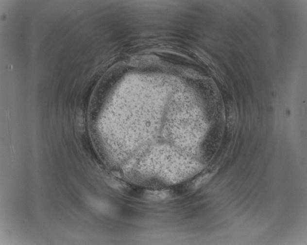 X0000072550469200607281653