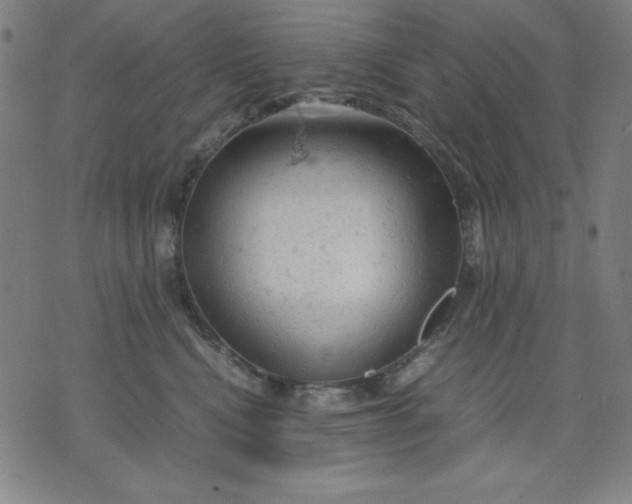 X0000072550472200607281653