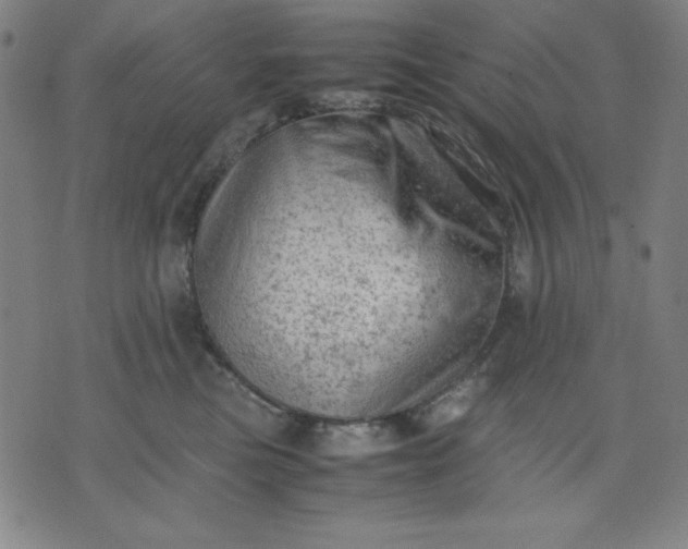 X0000072550473200607281653