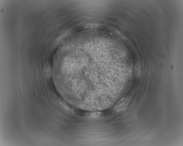 X0000072550474200607281653