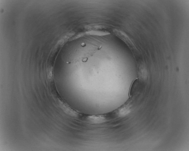 X0000072550477200607281653