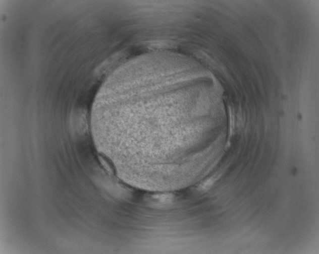 X0000072550478200607281653