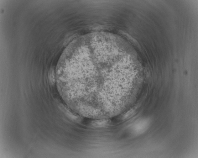 X0000072550479200607281653