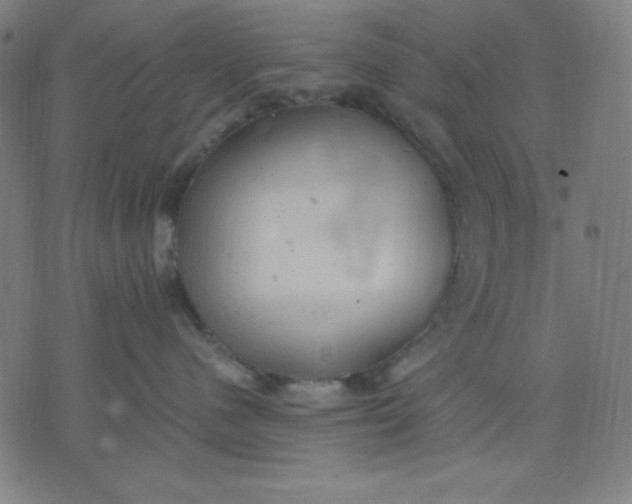 X0000072550480200607281653