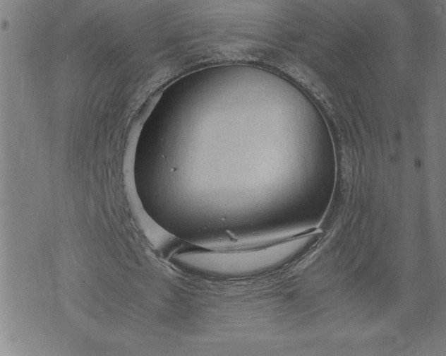 X0000072550481200607281652