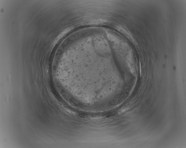 X0000072550483200607281652