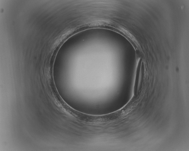 X0000072550485200607281652