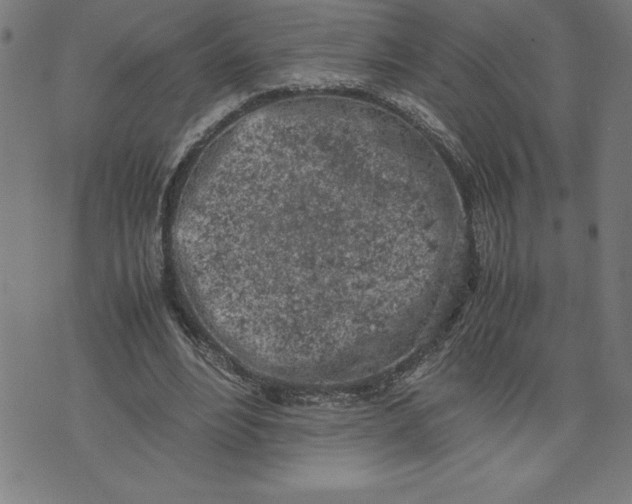 X0000072550488200607281652