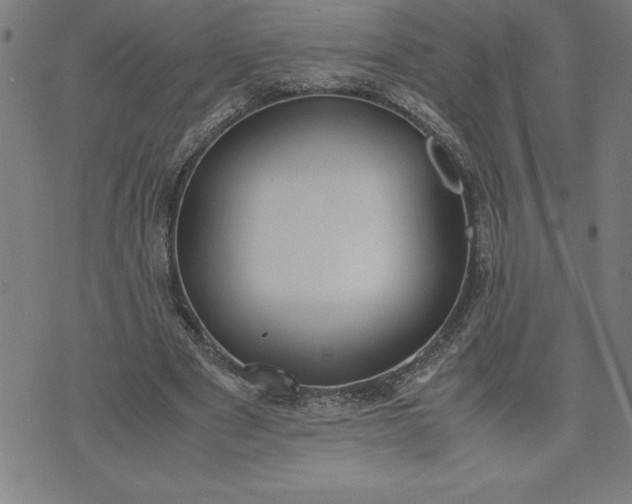 X0000072550489200607281652