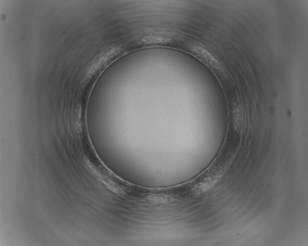 X0000072550490200607281652