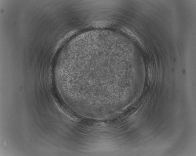 X0000072550492200607281652