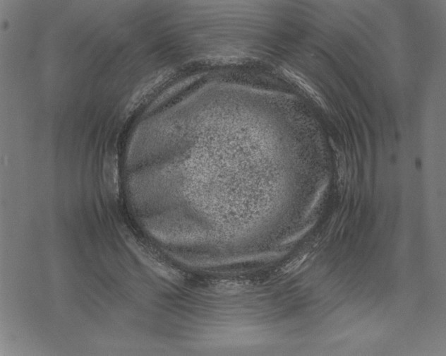 X0000072550494200607281652