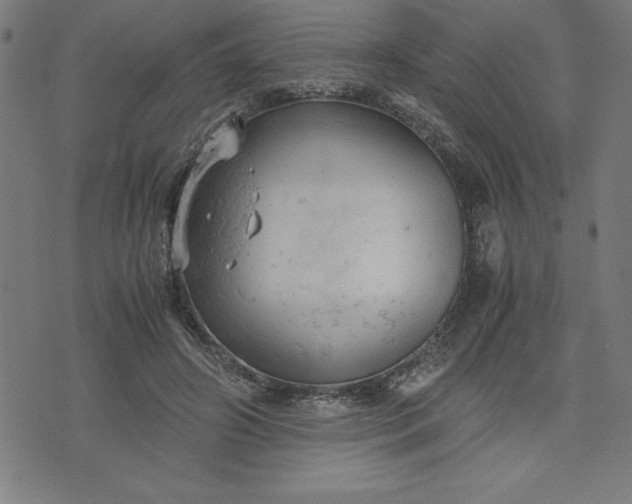 X0000072550498200607281652