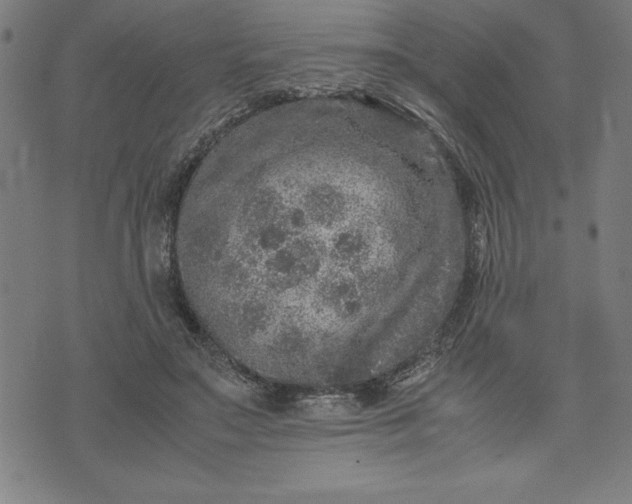 X0000072550499200607281652