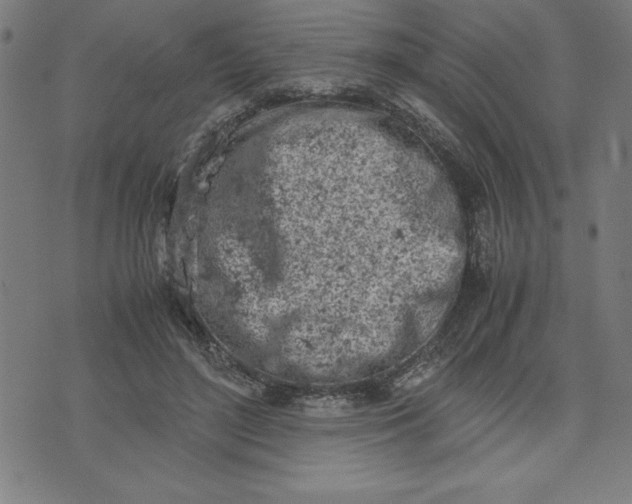 X0000072550500200607281652