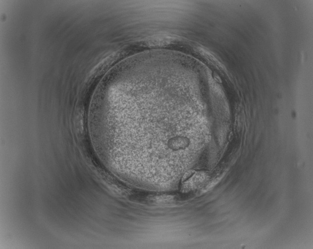 X0000072550501200607281652