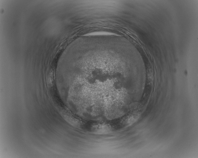 X0000072550503200607281652