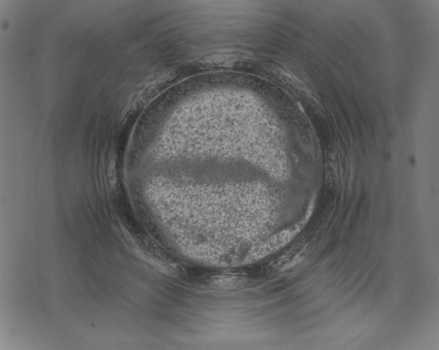 X0000072550504200607281652