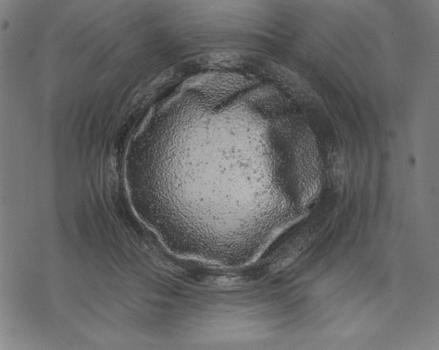 X0000072550506200607281652