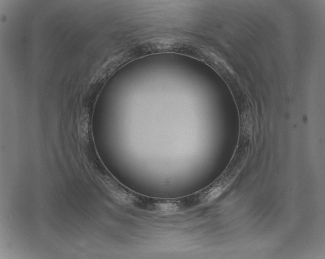 X0000072550509200607281652