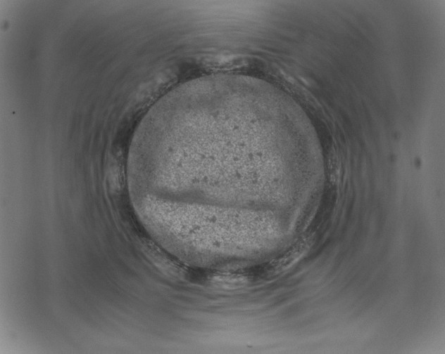 X0000072550515200607281652