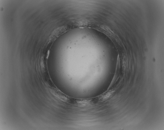 X0000072550516200607281652