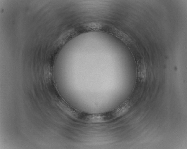 X0000072550518200607281652