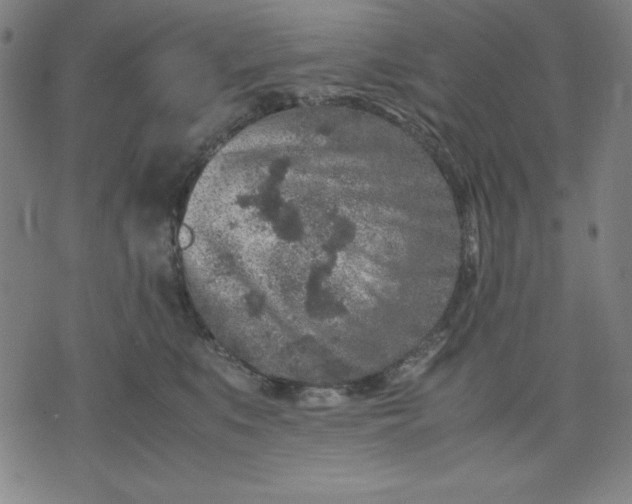 X0000072550519200607281652