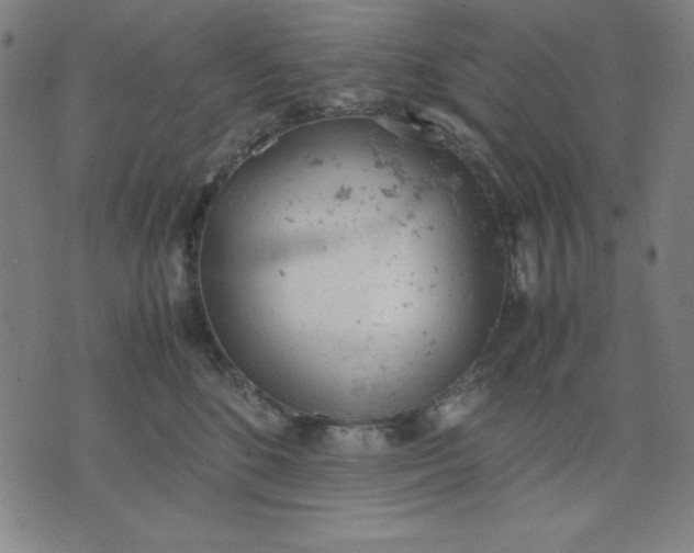 X0000072550520200607281652