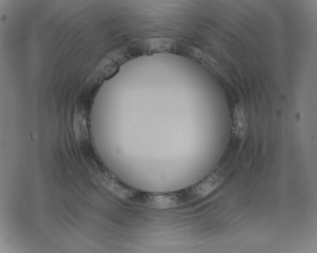 X0000072550522200607281652