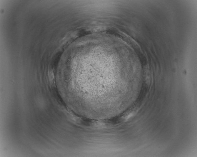 X0000072550523200607281652