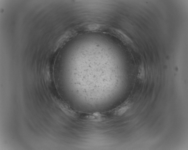 X0000072550524200607281652