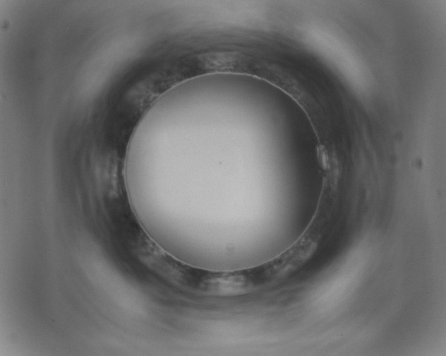 X0000072550525200607281652