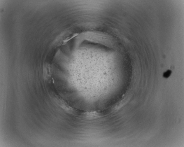 X0000072550528200607281652