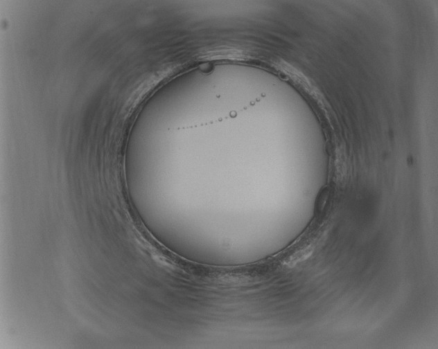 X0000072550529200607281651