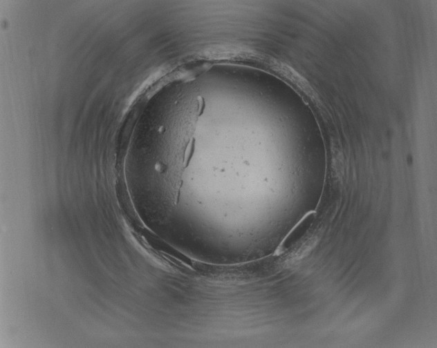 X0000072550530200607281651