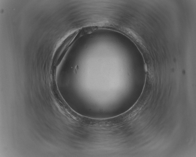 X0000072550532200607281651