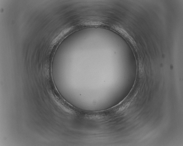 X0000072550533200607281651