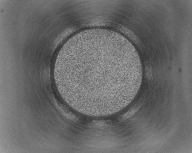 X0000072550534200607281651