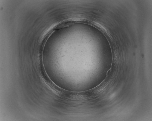 X0000072550535200607281651