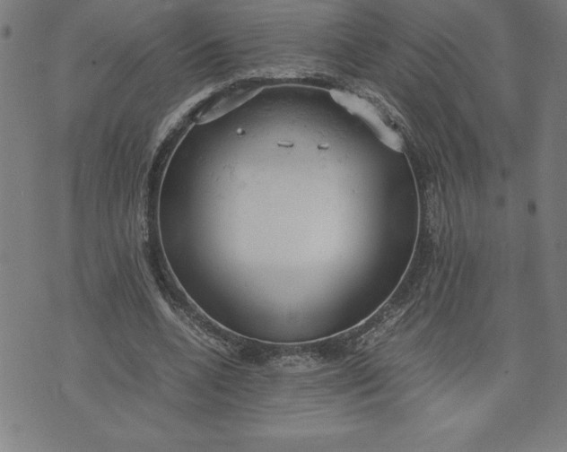 X0000072550536200607281651